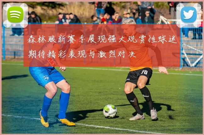 森林狼新赛季展现强大观赏性球迷期待精彩表现与激烈对决
